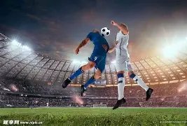 宫鲁鸣加盟,中国篮协,出任副主席,55125中国彩吧,彩票平台,安全投注,在线投注,彩票预测