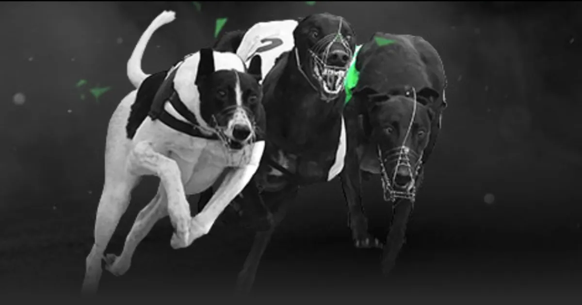 曾凡博独木,难支,余嘉豪周琦,55125中国彩吧,彩票平台,安全投注,在线投注,彩票预测