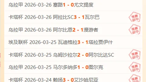 大乐透期号专家质合分析推荐前区十码，半岛三连胜策略揭晓