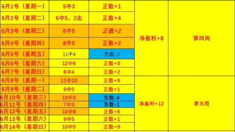 55125中国，安全投注，彩吧 064217 06